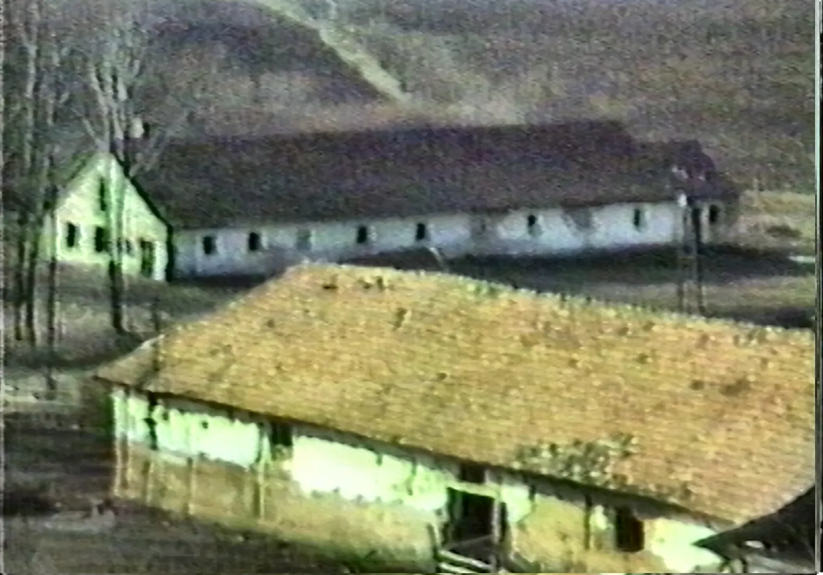 Két istálló archív fotója