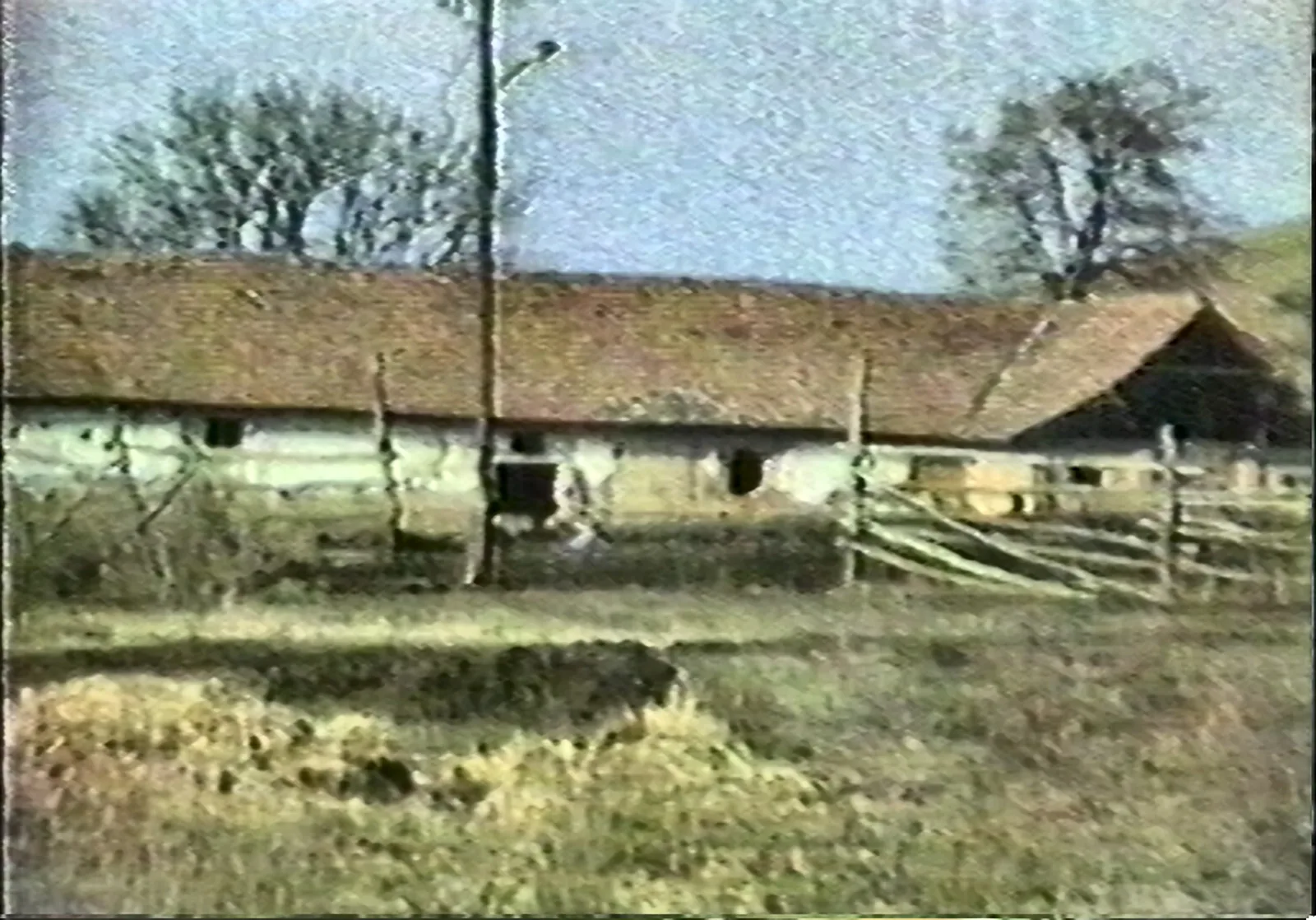 Ügető istálló oldalról